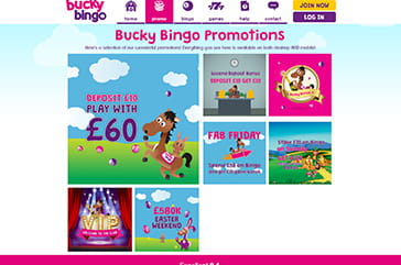 Great promotions for everyone on Bucky Bingo