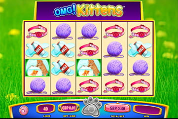 The 'OMG! Kittens' Slot Game