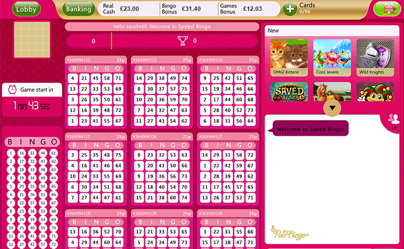 Polo bingo promo code deals