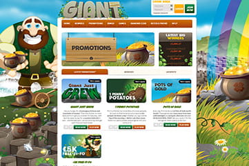 Generous promotions and bonuses on Giant Bingo